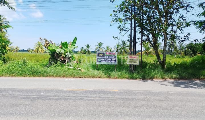 Jual Tanah SHM Sangat Luas Harga Murah Cocok Bangun Tempat Wisata Restoran Resort