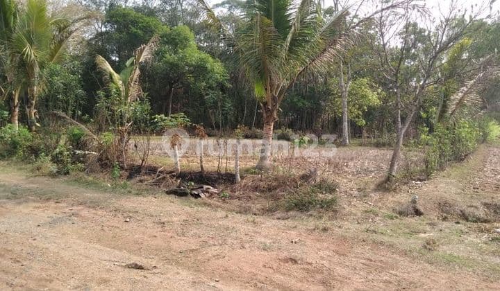 Cepat Murah Tanah Industri Kav. Mabes Margasari Tigaraksa