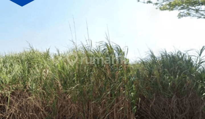 Jual Tanah Ciptaguna