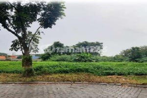 Green Candi Land Green Candi Land