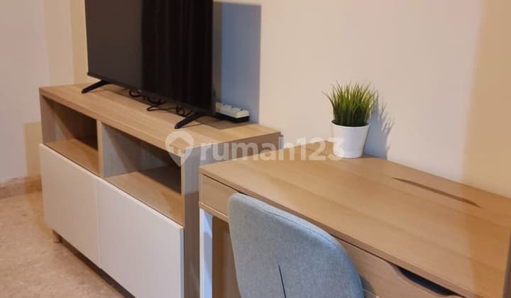 Studio.gold.coast Cheap, Let's Survey