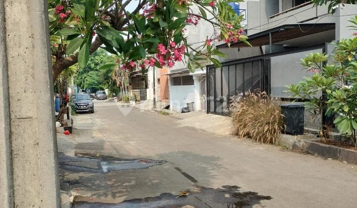 Jual Murah Rumah Muara Karang Blok 5 Hadap Utara 8x15