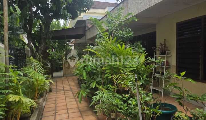 Paling Murahjual Rumah Hitung Tanah di Pluitpermai Harga Murah Sekali