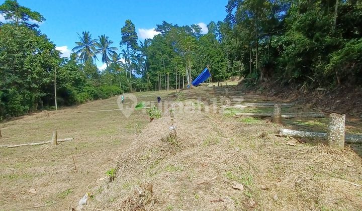 Tanah Dijual Luas 3204M2 Cocok untuk Peternakan Akses Mobil