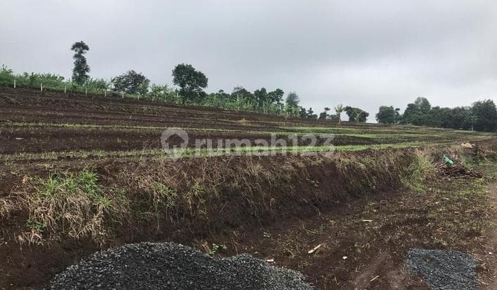 Tanah di Padalarang Cocok Untuk Perumahan, Villa, Rumah Sakit, Dekat Tol & KCIC Whoosh