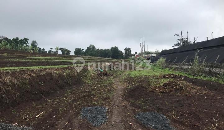 Tanah di Padalarang Cocok Untuk Perumahan, Villa, Rumah Sakit, Dekat Tol & KCIC Whoosh