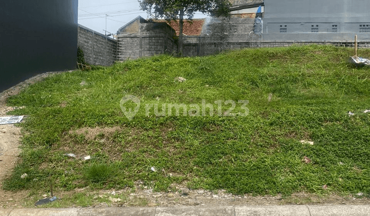 Strategic land suitable for family residences as well as long-term investments.