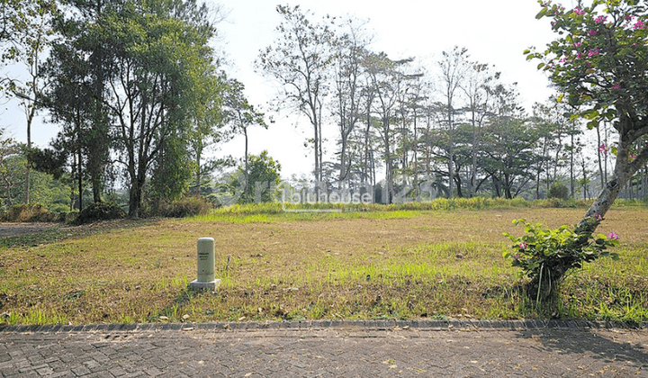 Tanah Strategis Dekat Universitas dan Bandara di Araya