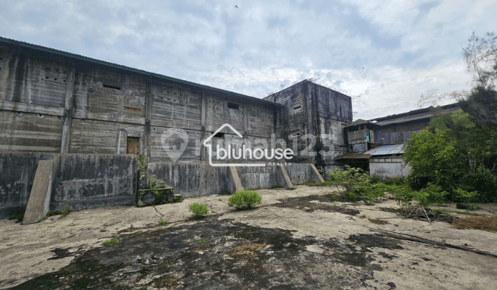 Gudang Burung Walet dan Tanah Siap Pakai di Raya Semeru Selatan