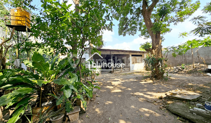 Rumah Strategis bisa untuk Usaha Dekat Universitas di Dinoyo