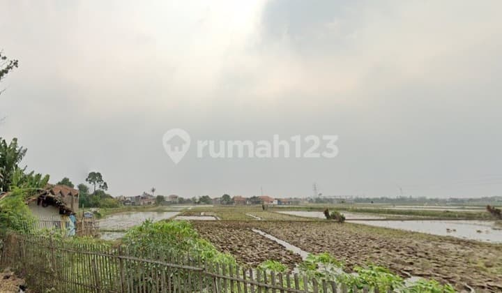 DIJUAL SAWAH DI PINGGIR JALAN CICALENGKA, MAJALAYA BANDUNG