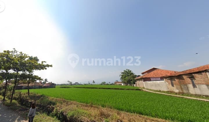 DIjual Sawah Ranca kentang, majalaya Bandung