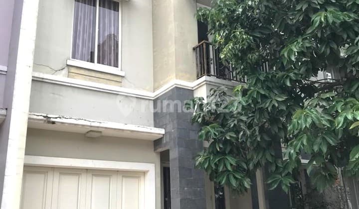 Dijual Dan Disewakan Rumah Siap Huni Di Scientia Area Gading Serpong