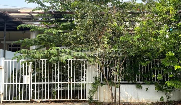 Dijual Rumah Perlu Di Renov Di Griya Sutera Area Alsut
