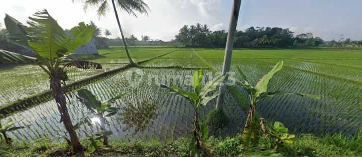 Jual Tanah Sawah Cocok Ut Perumahan,pabrik di Ciranjang Cianjur