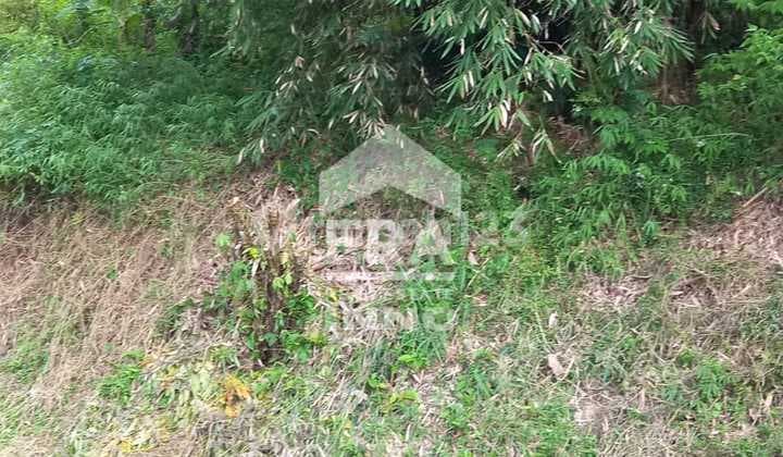 Tanah Murah Dibawah Njop di Komplek Cipaku Indah Setiabudi Bandung