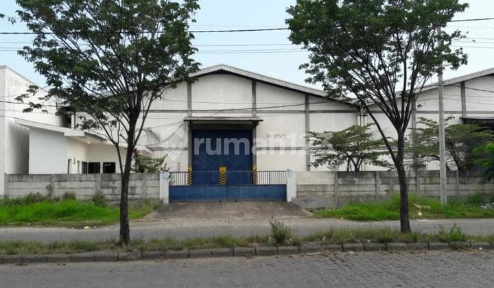 Gudang Bumi Maspion Romokalisari Selangkah Ke Tol Siap Pakai