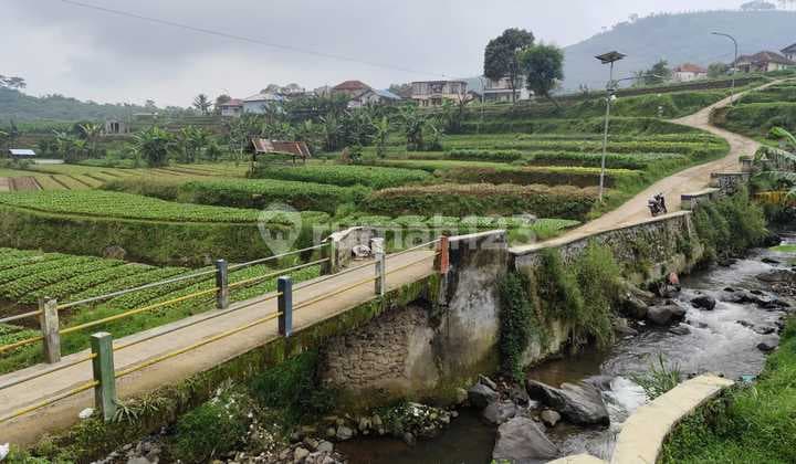 Land 19808 m2 Cipanas, Sukabumi