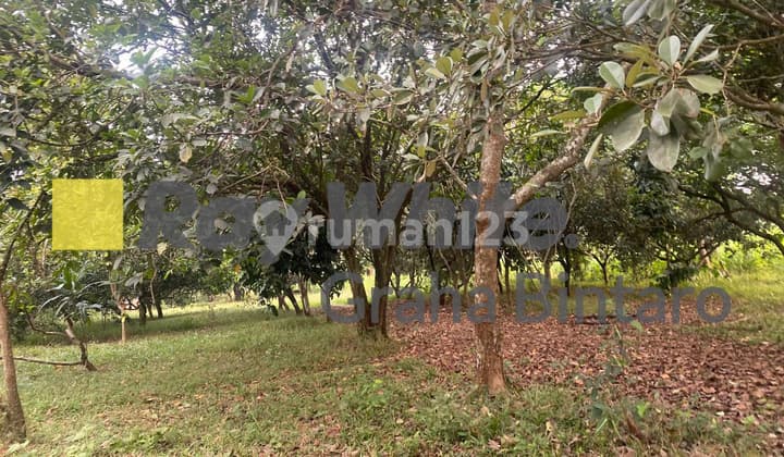 Dijual Tanah Seluas 7 Hektar di Ciseeng