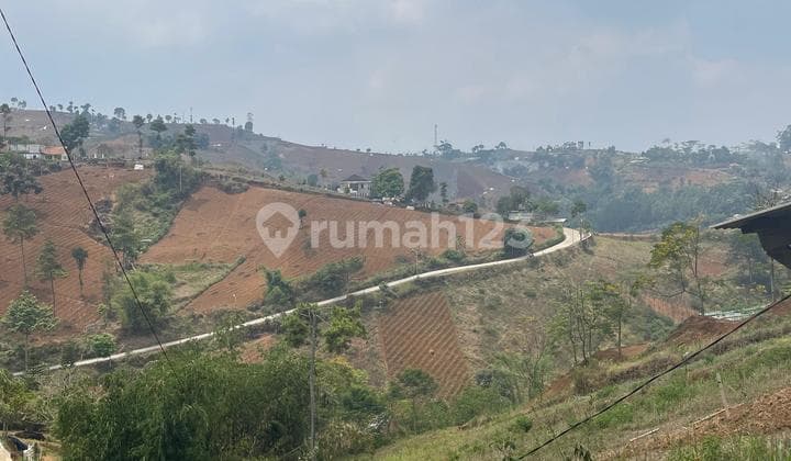Tanah view kota harga paling murah di Bukit Pakar Utara Dago