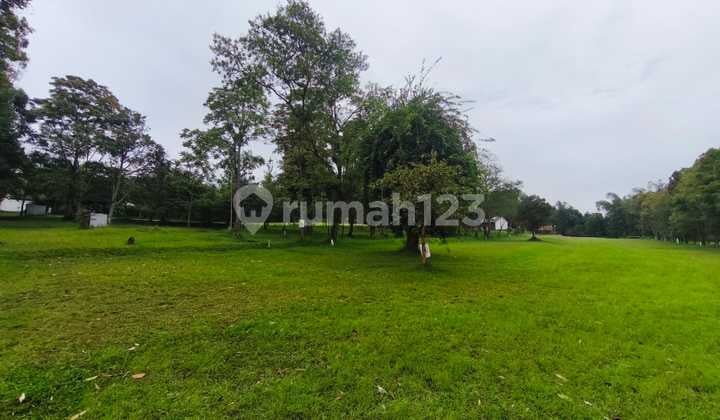 Dijual Kawasan Sangat Bernilai untuk Bisnis Resor Cisarua Lembang