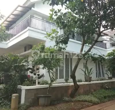 Bintaro Emerald Hot Sale