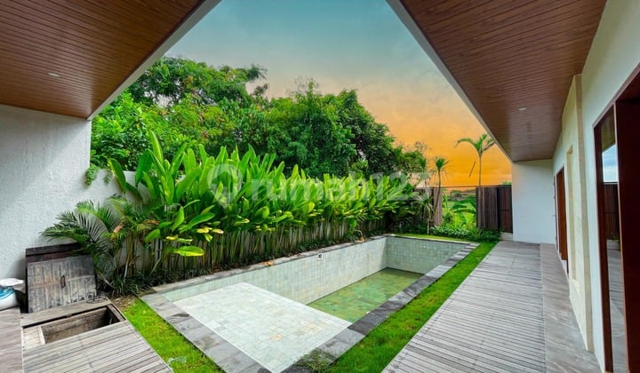 Brandnew 2 Bedrooms Located Strategic At Kerobokan