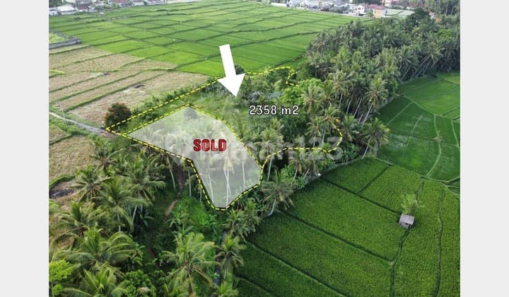 Tanah view sawah dan Sungai lokasi strategis dekat dengan central ubud