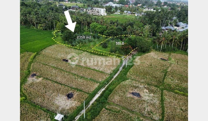 Tanah view sawah dan Sungai lokasi strategis dekat dengan central ubud