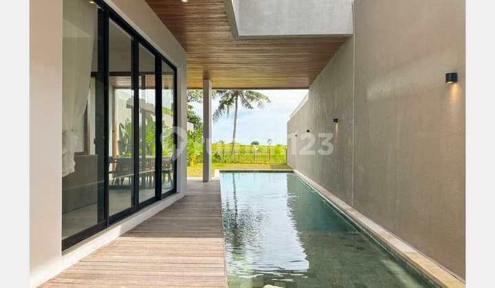 Brand New Tropical Modern 3 Bedrooms Villa With Ricefield & River View At Kedungu Tabanan