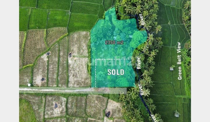 Tanah view sawah dan Sungai lokasi strategis dekat dengan central ubud