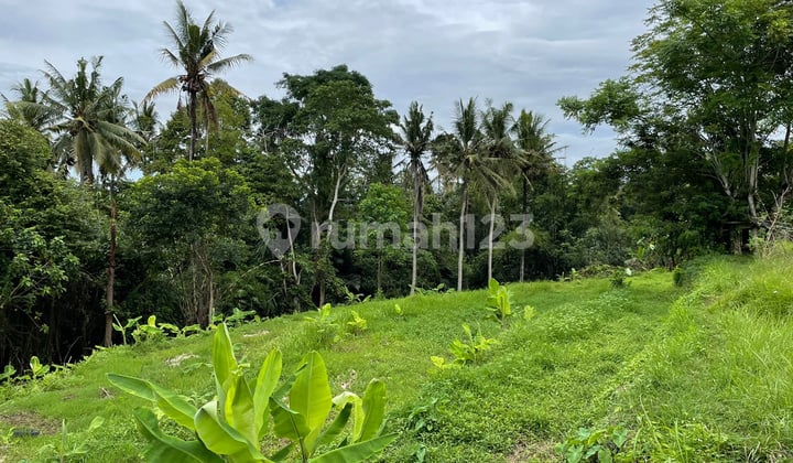 Lahan View Sungai,Sawah dan Junggle Lokasi Singapadu Ubud Gianyar
