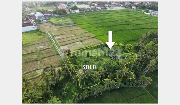 Tanah view sawah dan Sungai lokasi strategis dekat dengan central ubud