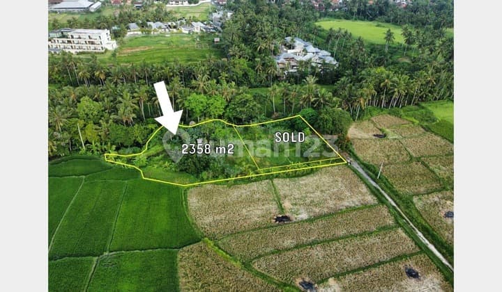 Tanah view sawah dan Sungai lokasi strategis dekat dengan central ubud