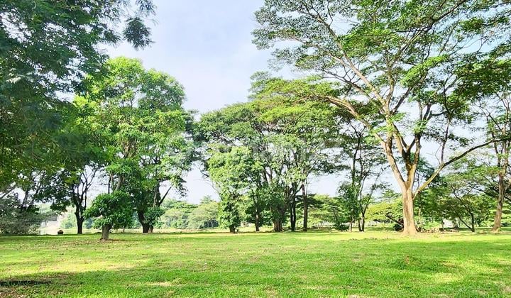 Cluster Sultan! Telaga Biru! Sangat Sejuk Rindang Posisi Di Jalan Utama Kavling Langka Kawasan Elite Tanah di Cluster Telaga Biru Alam Sutera, Jl. Sutera Utama, Pondok Jagung, Serpong Utara, Kota Tangerang Selatan, Banten, Indonesia, 15326, Alam Sutera PP