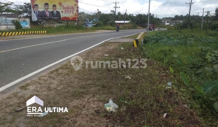 Tanah Di Jl. Raya Pangkal Pinang Sungailiat Bangka Belitung