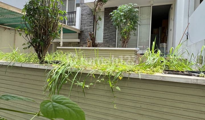 Rumah Layar Permai Pik1 Uk 8X15m2, Semi Furnish
