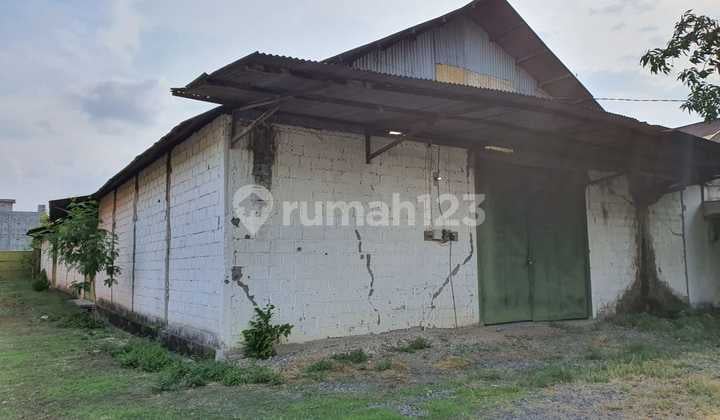 1260. Gudang+tanah di Dusun Sidomlangean Kedungpring Lamongan