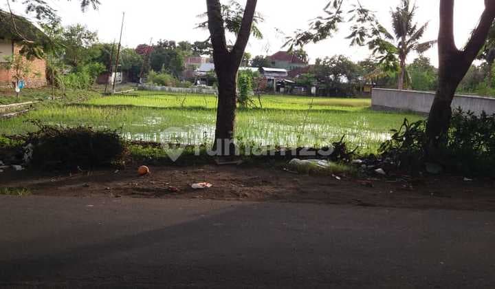 2033. Dijual Tanah Murah Jl Anyelir Kec Praya Lombok Tengah Ntb