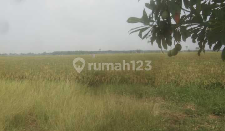 Tanah Dijual di Samudra Jaya Tarumajaya Bekasi