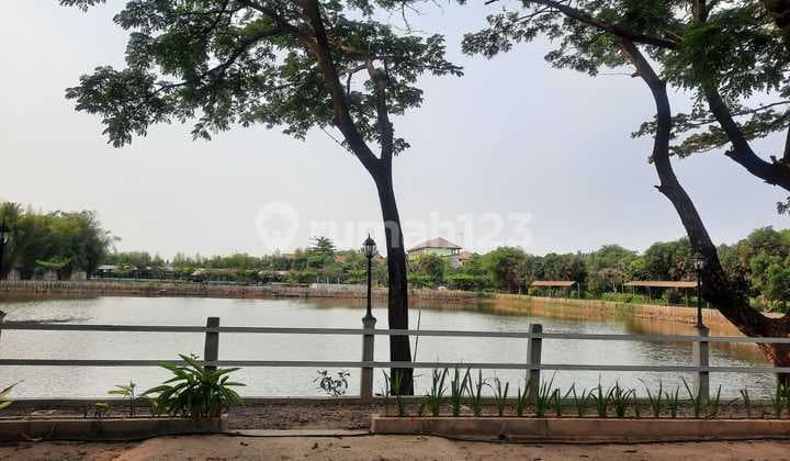 Tanah Harga Di Bawah Pasaran Di Cikunir Raya Jakamulya Bekasi