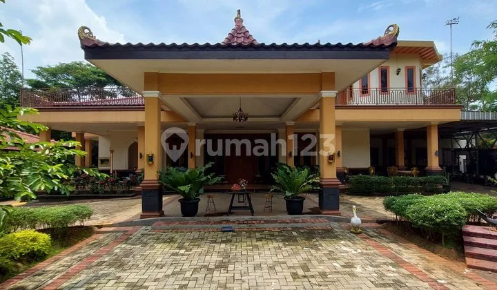 Rumah Mewah Luas Sejuk Dan Rindang Ada Pendopo Joglo Berikut 7 Kios Usaha di Cibarusah