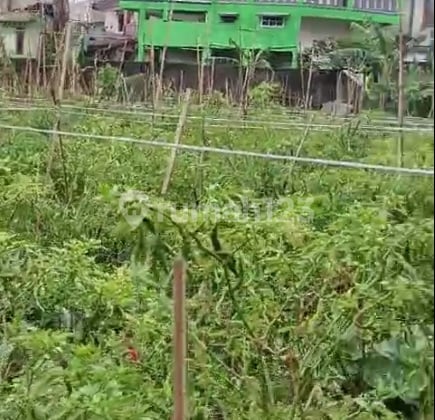 Jual Tanah Puncak Ciloto Super Dingin Masuk Mobil