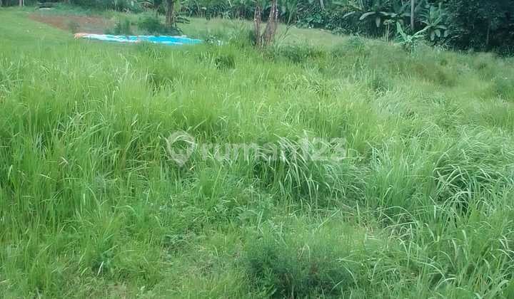 Jual Tanah MUrah di Caringin Bogor SHM Masuk Mobil