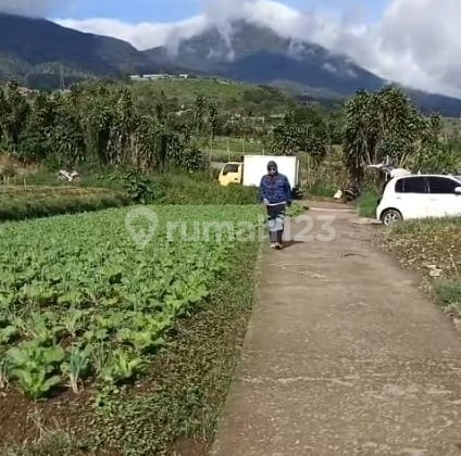 Jual Tanah Puncak Cipanas Murah untuk Kebun Villa dan Rumah