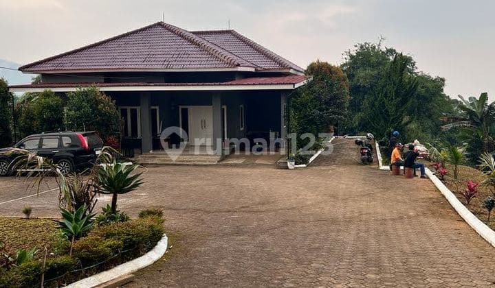 Jual Villa Puncak Cipanas Tanah Sangat Luas Murah Sekali