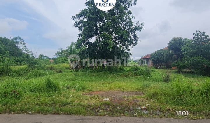 Dijual Tanah Sawah di Sumber, Kab Cirebon