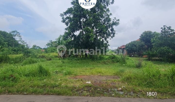 Dijual Tanah Sawah di Sumber, Kab Cirebon