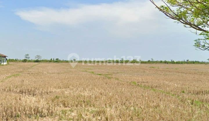 DIJUAL TANAH DI CIREBON