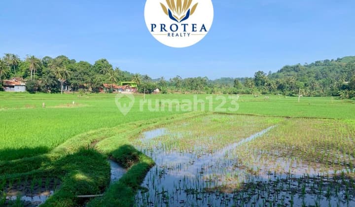 FOR SALE 19.2 HECTARES OF LAND IN CIANJUR